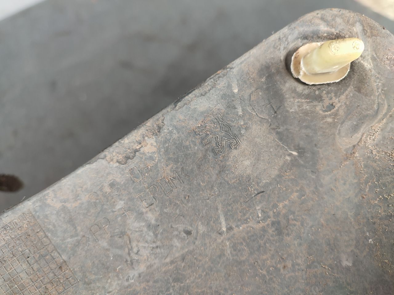 thumb