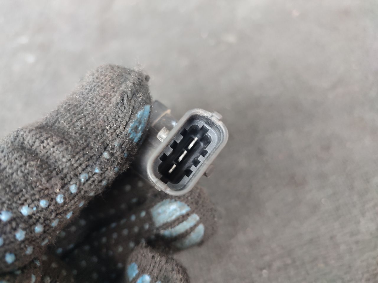 thumb