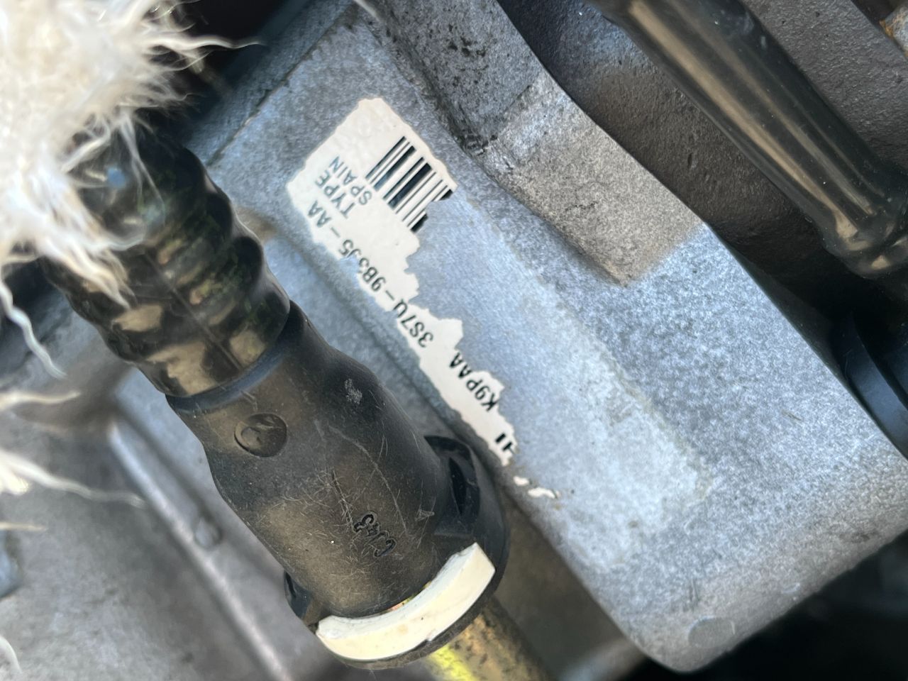 thumb