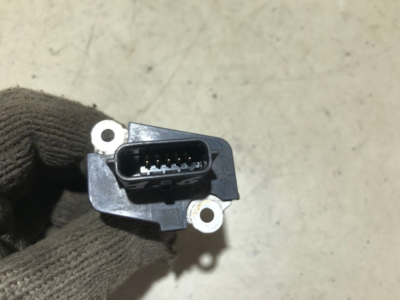 thumb