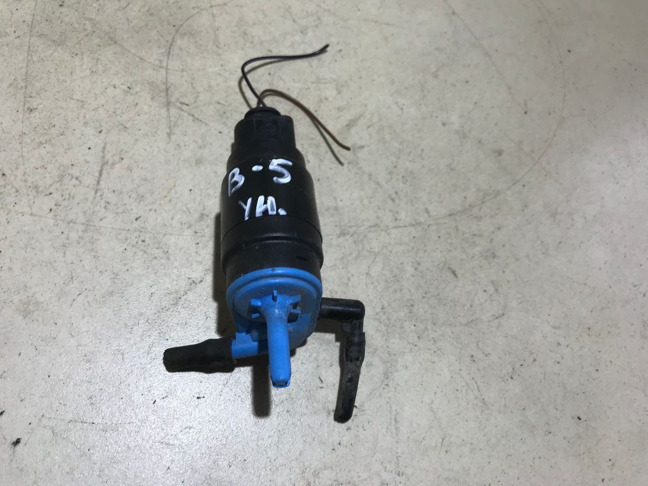 thumb