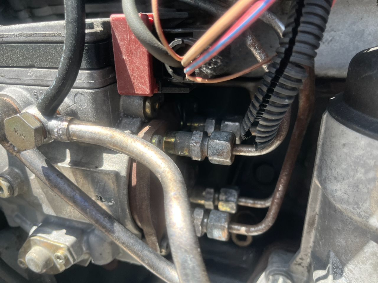 thumb