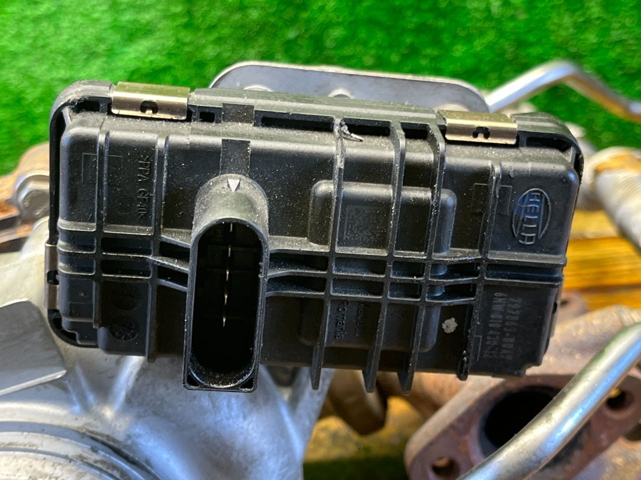 thumb