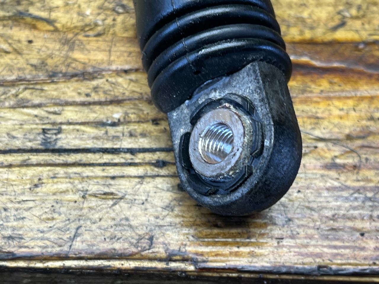 thumb