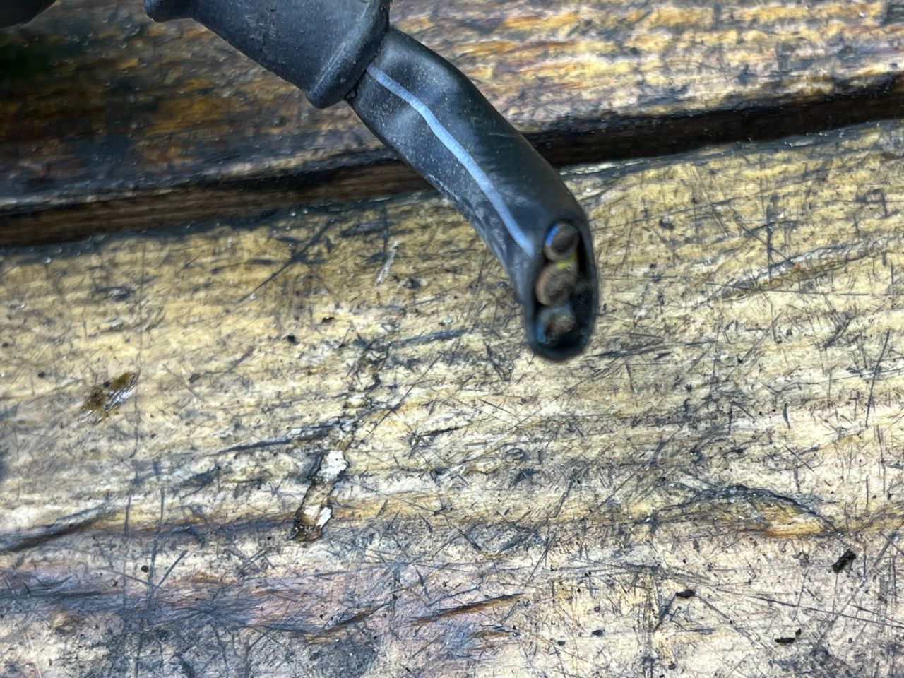 thumb