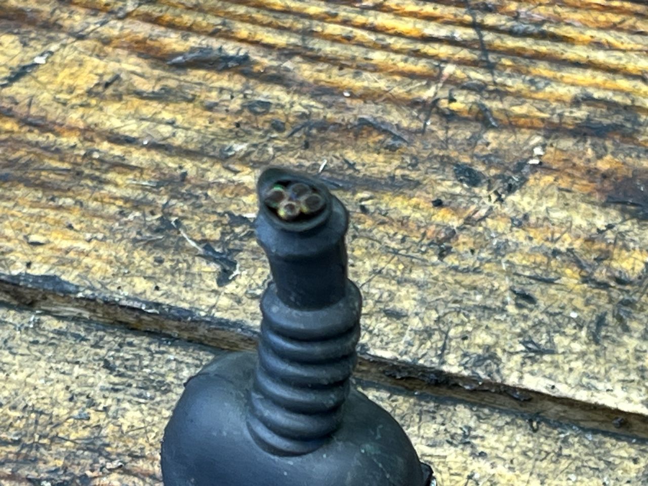 thumb
