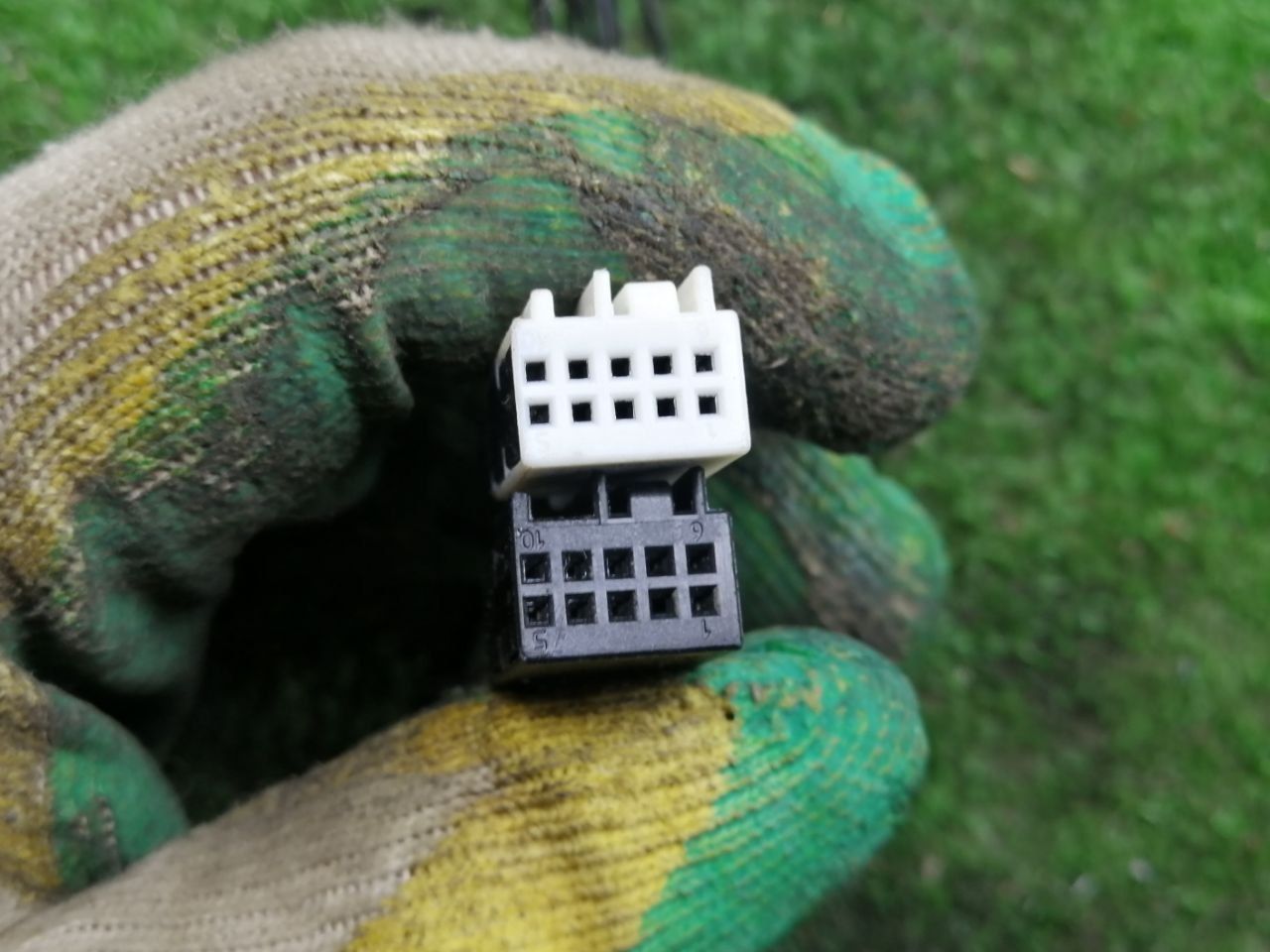 thumb