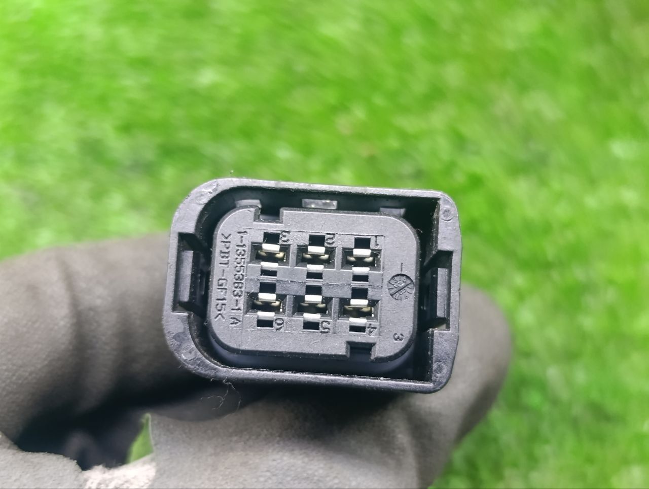 thumb