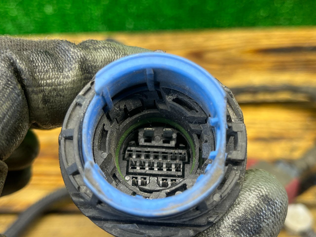 thumb
