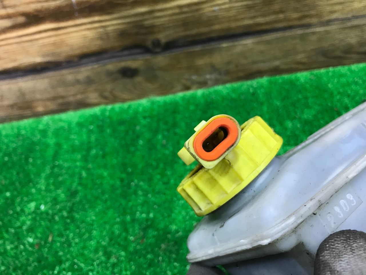 thumb