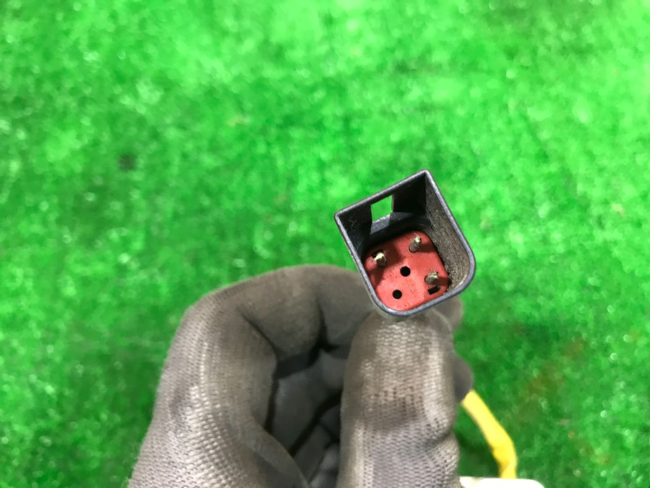 thumb