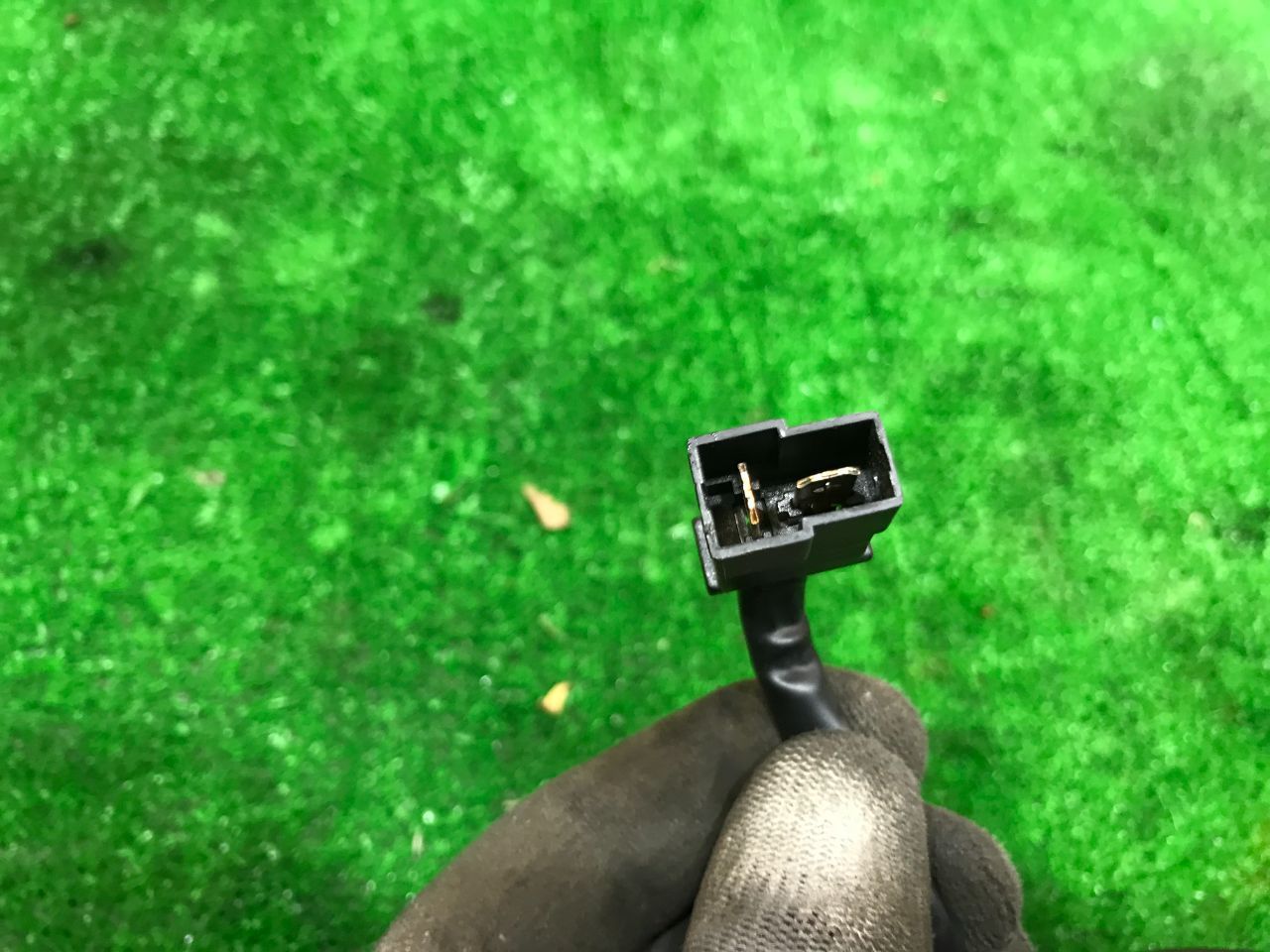 thumb