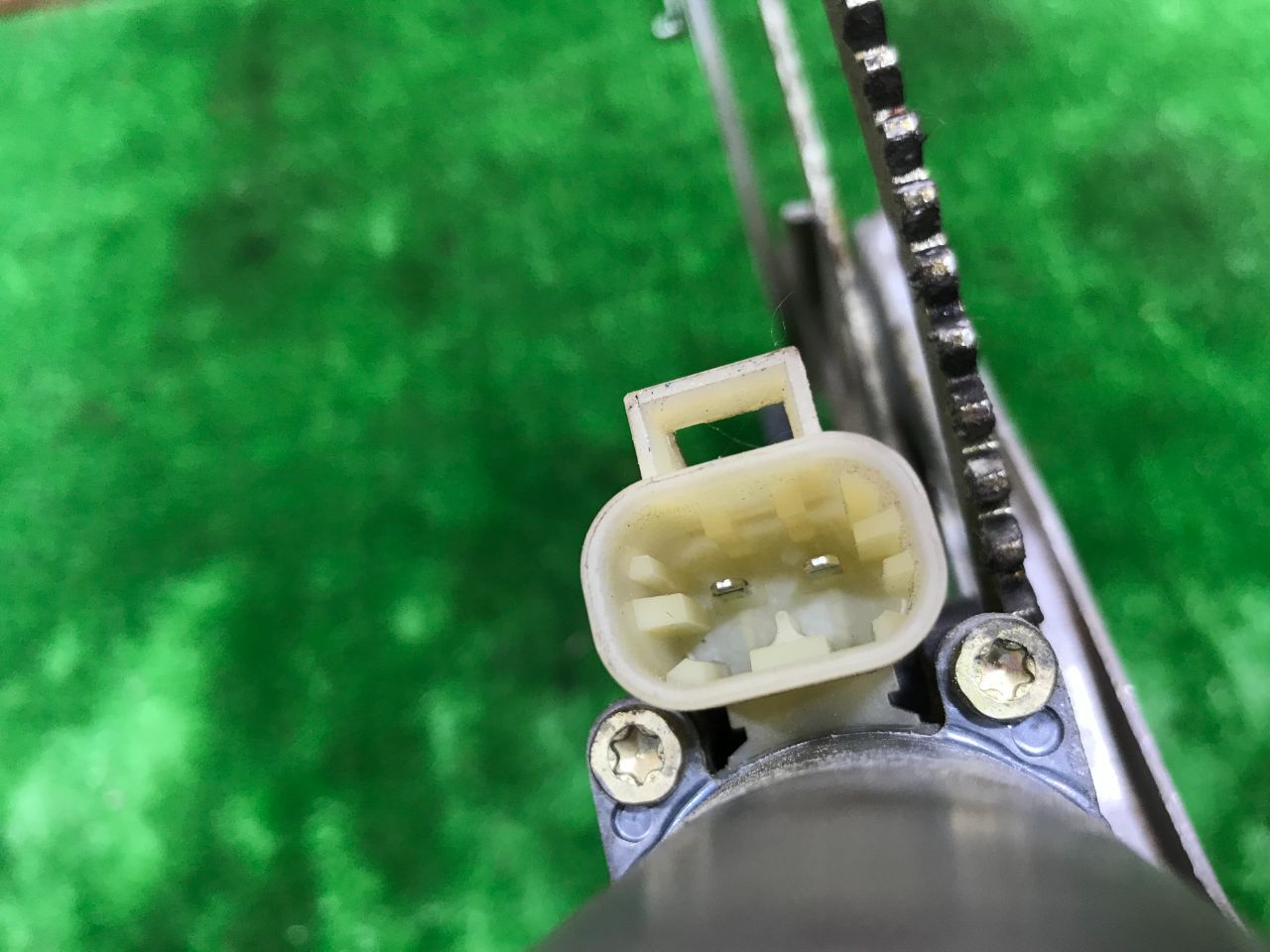 thumb