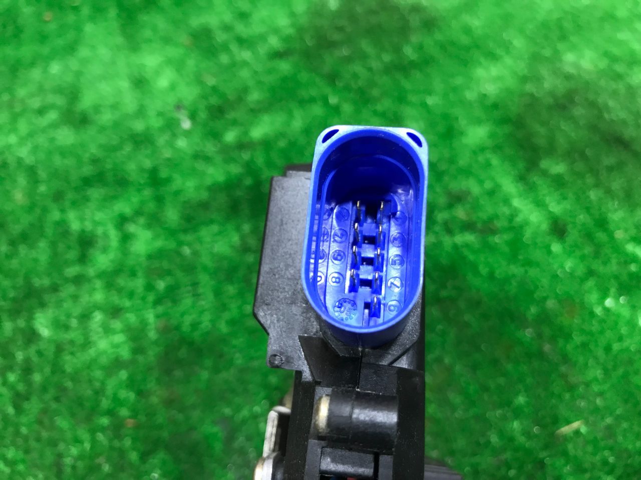 thumb