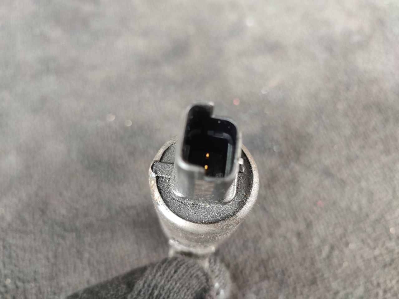 thumb