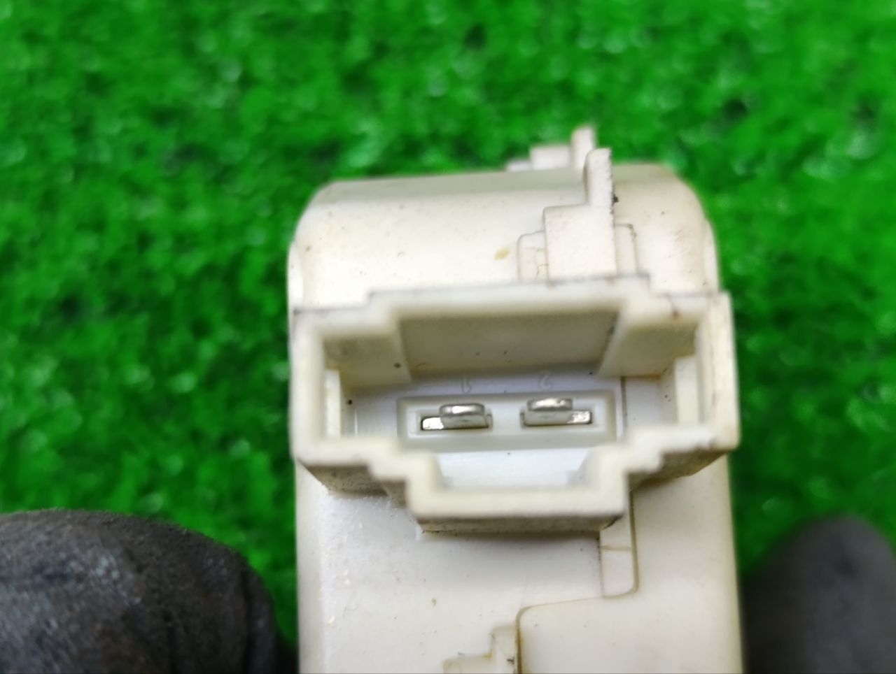 thumb
