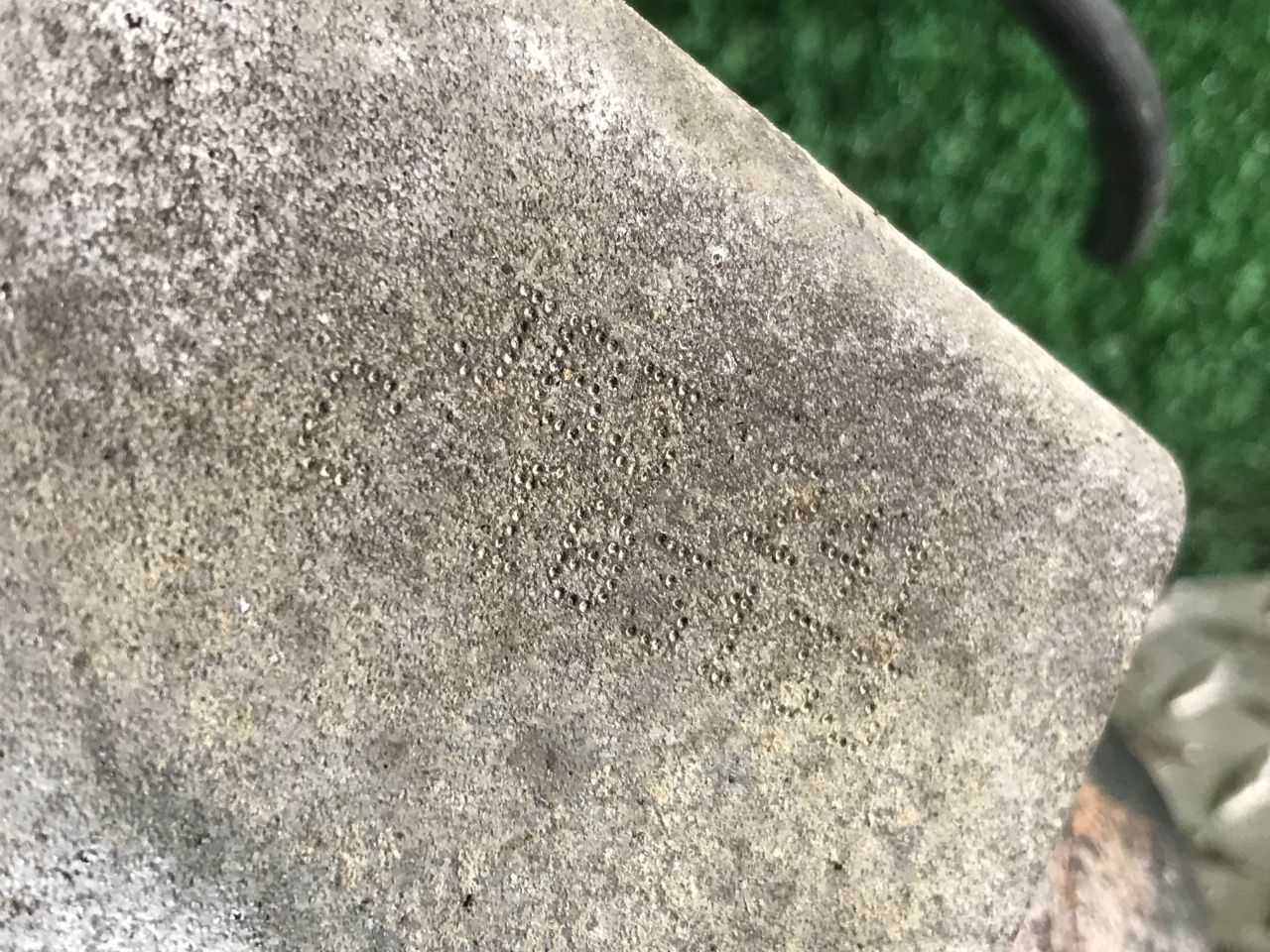 thumb