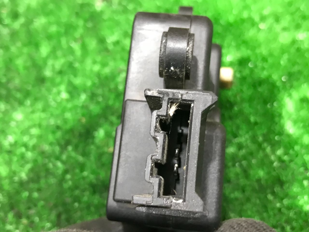 thumb