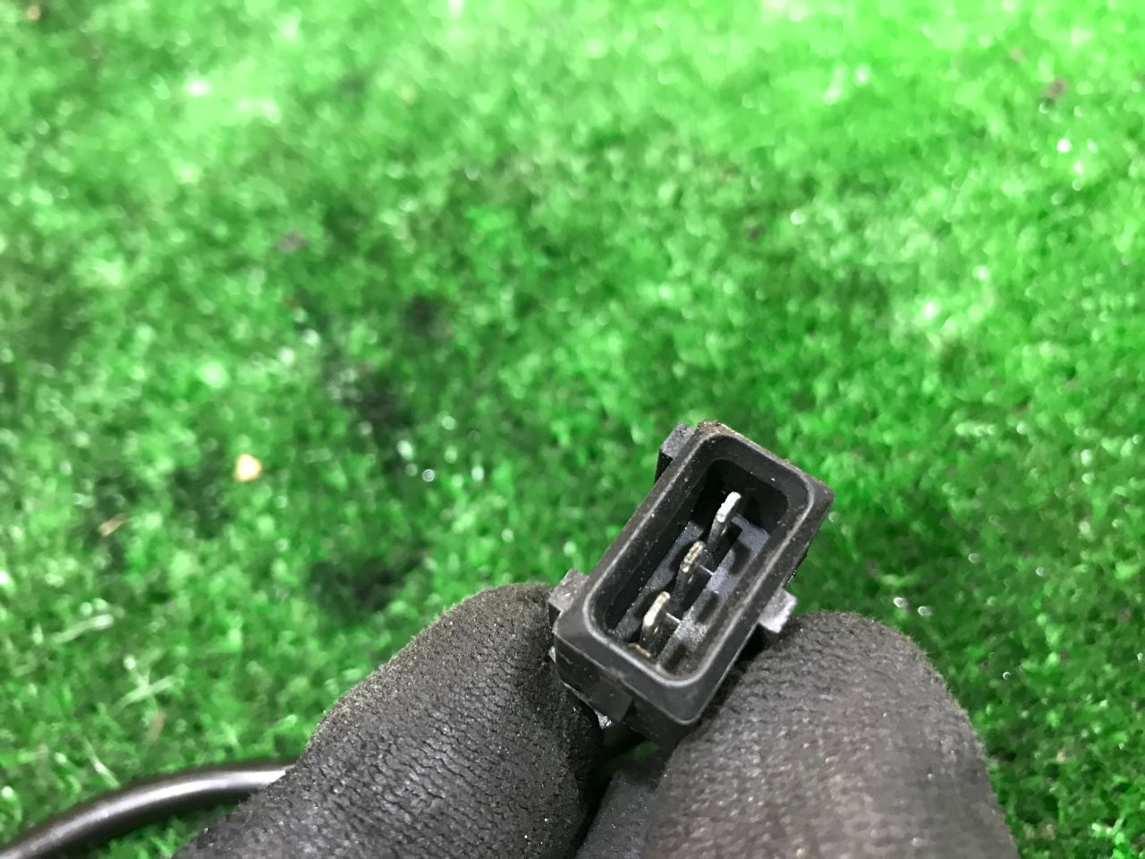 thumb