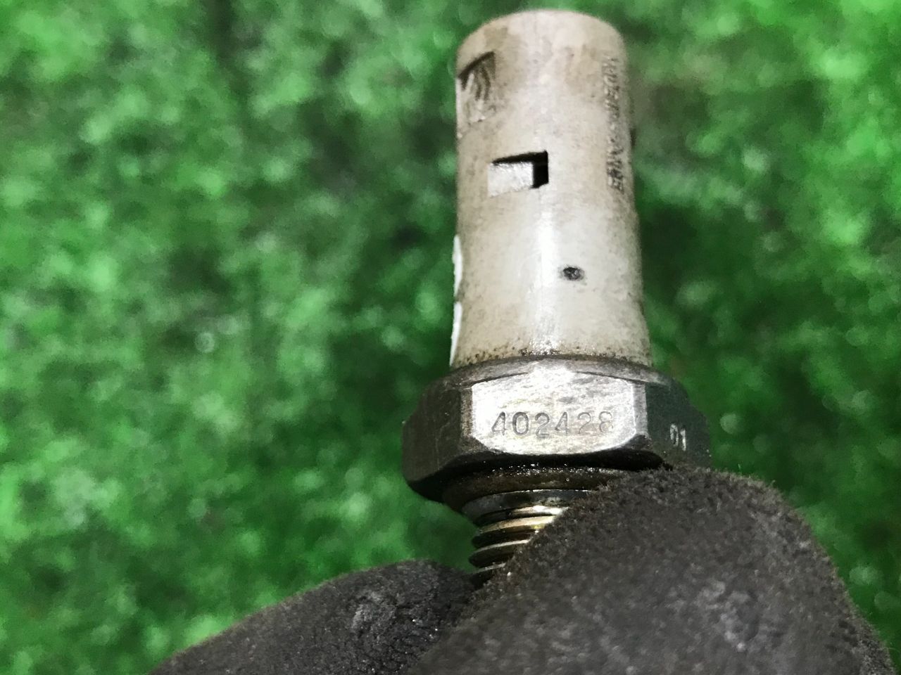 thumb