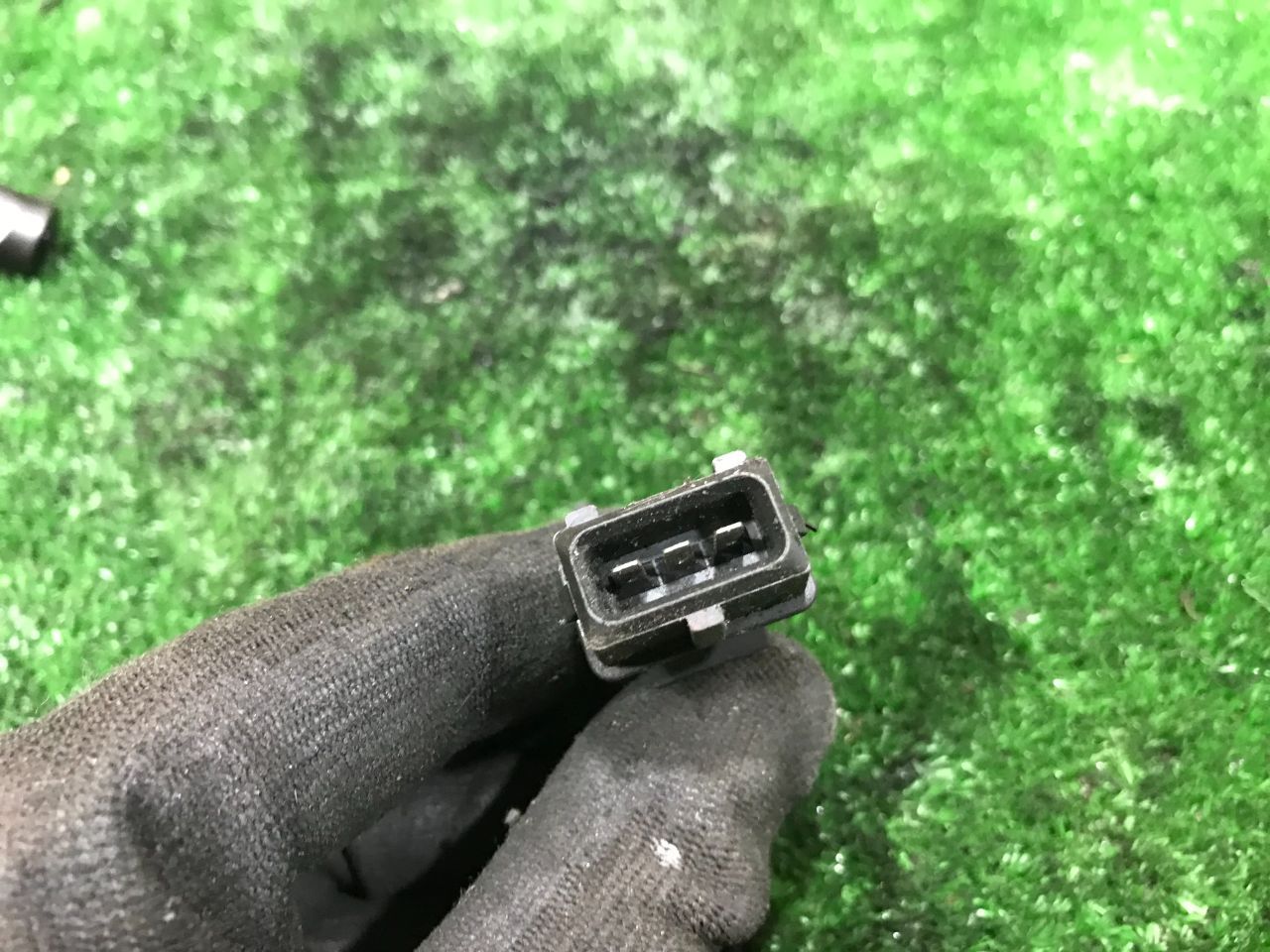 thumb
