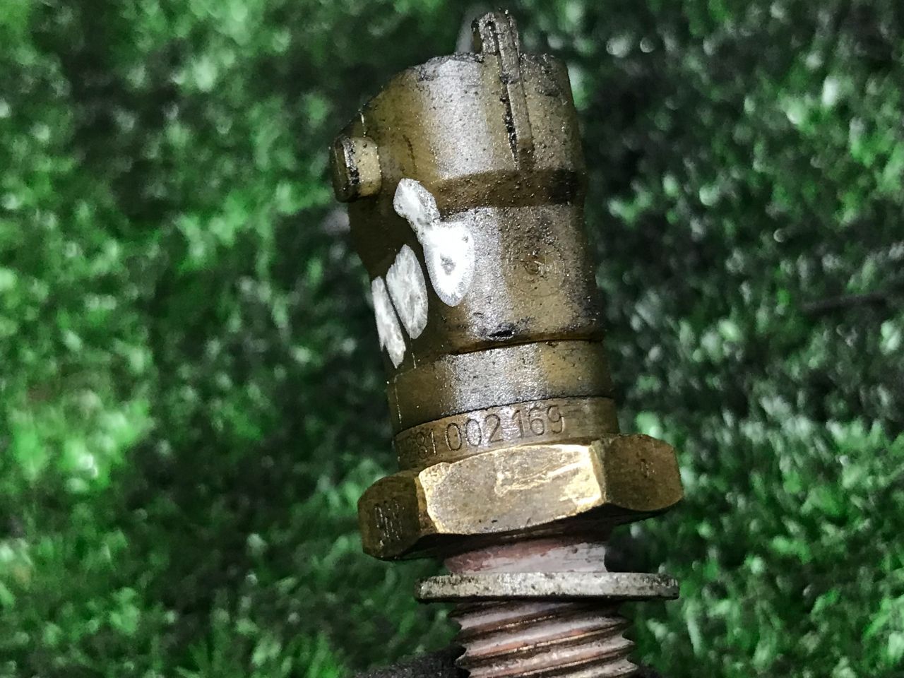 thumb
