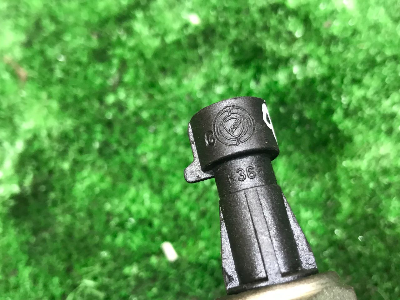 thumb