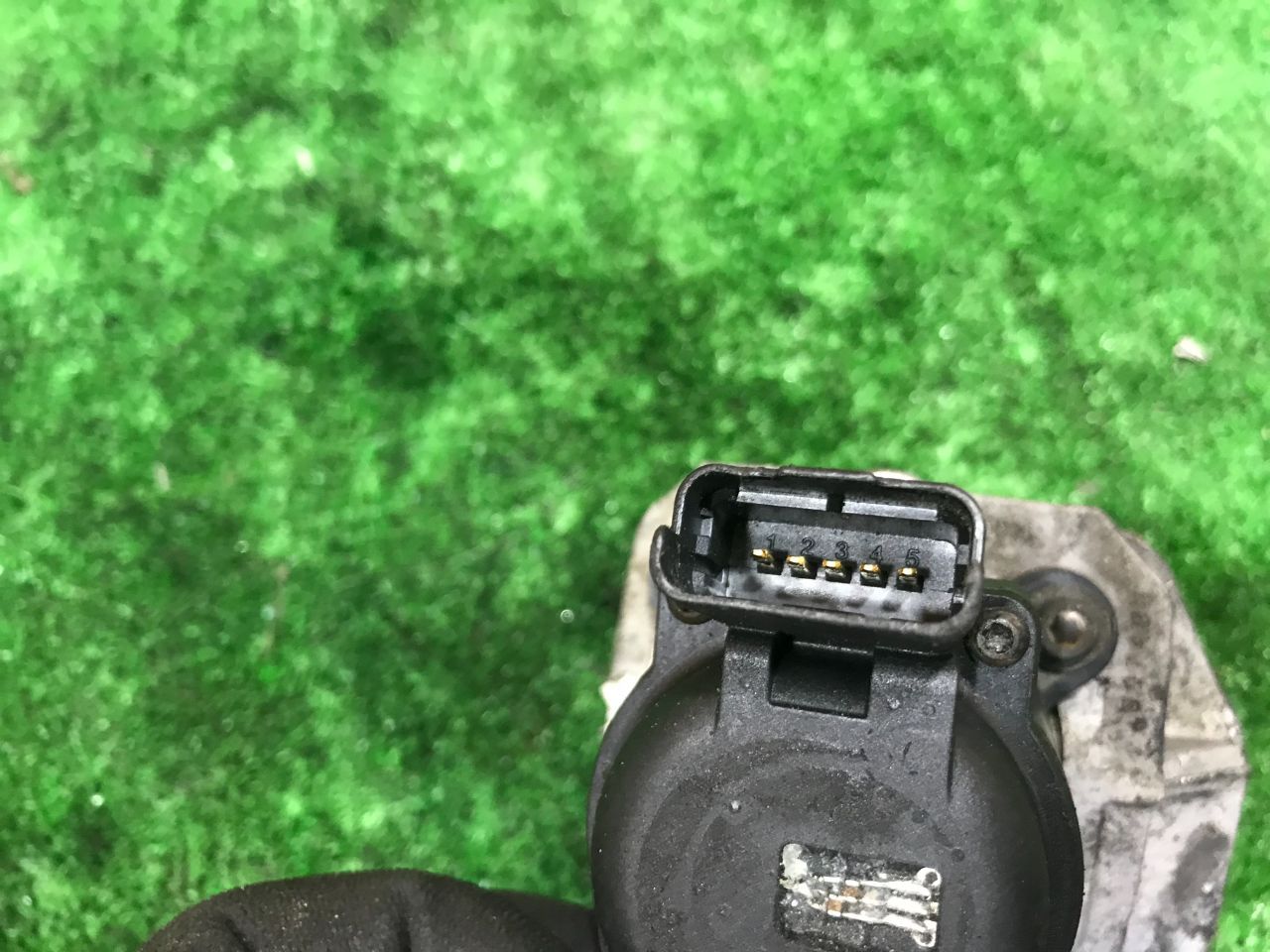 thumb