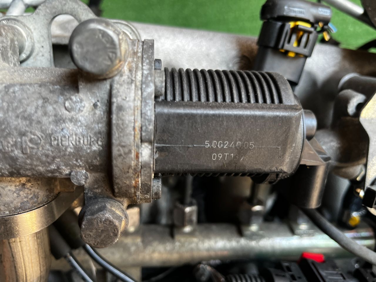 thumb