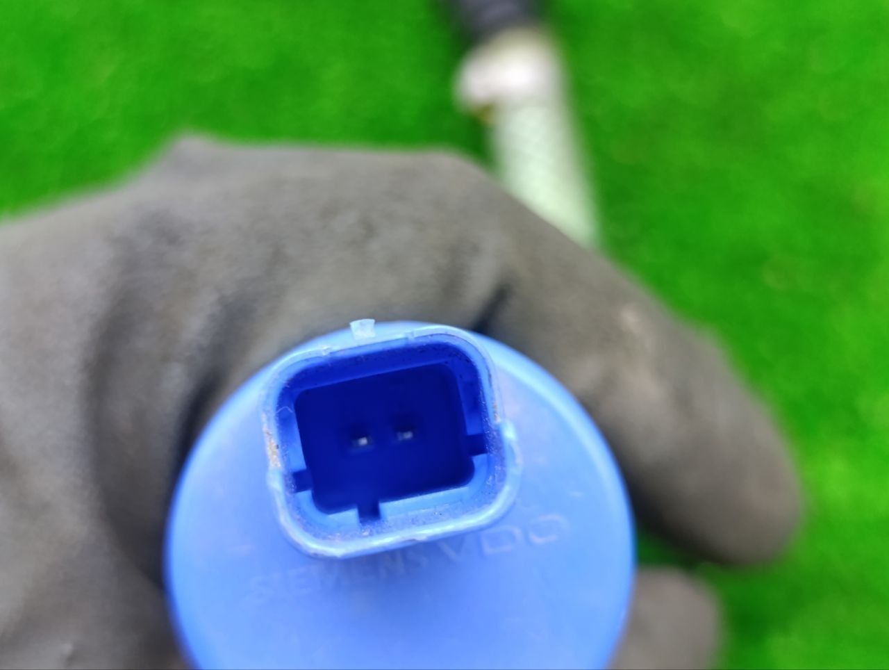 thumb
