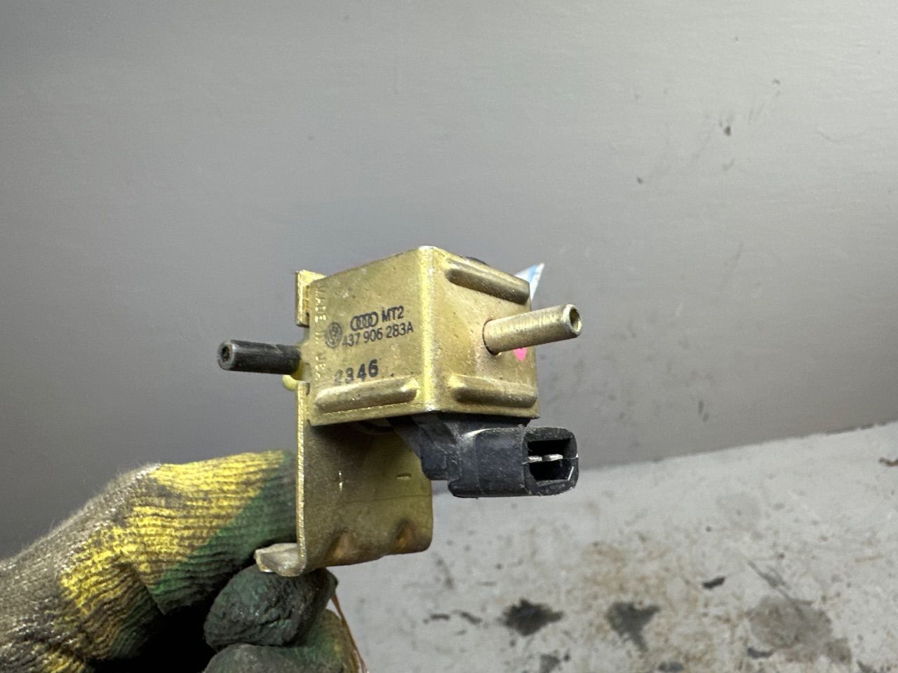 thumb