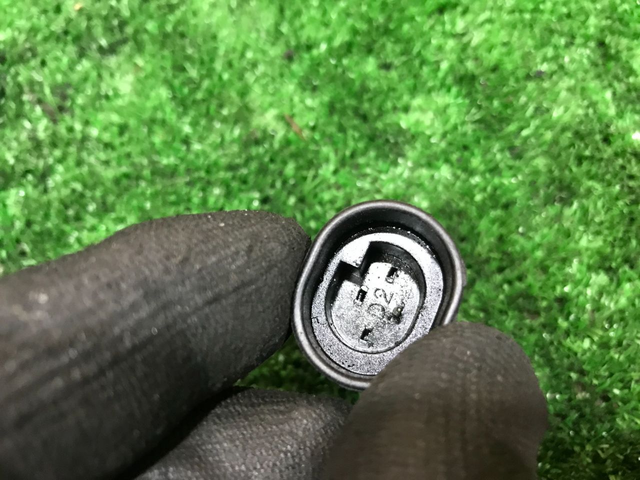 thumb