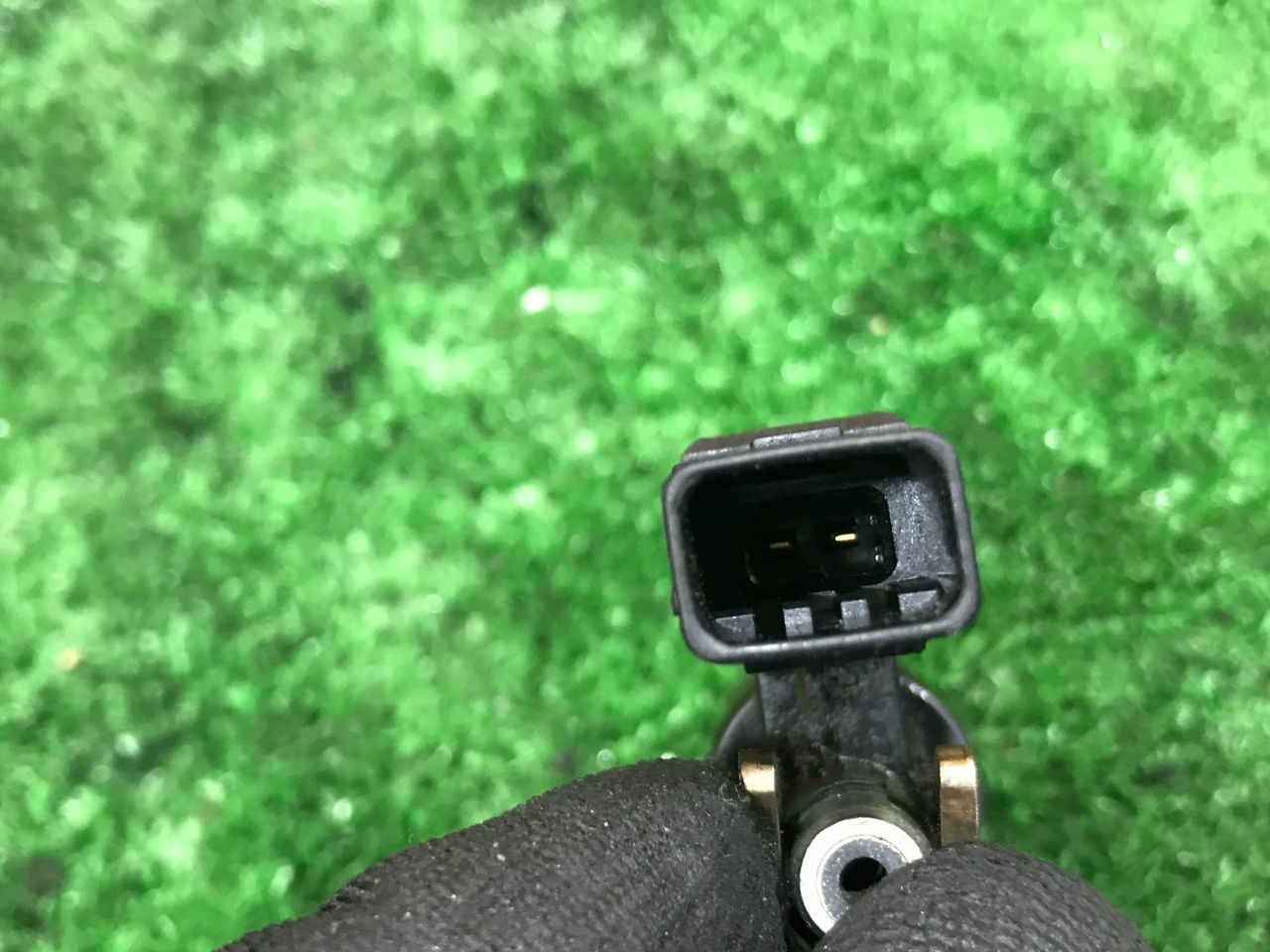 thumb