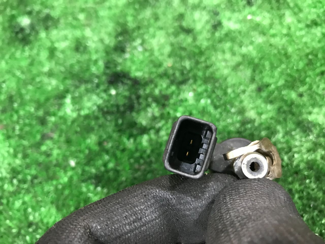 thumb
