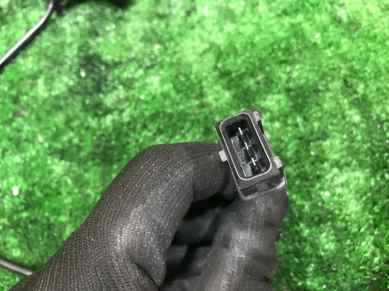 thumb