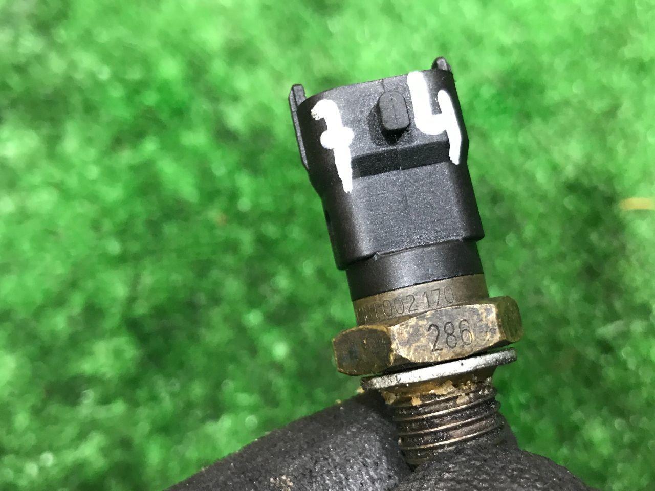 thumb
