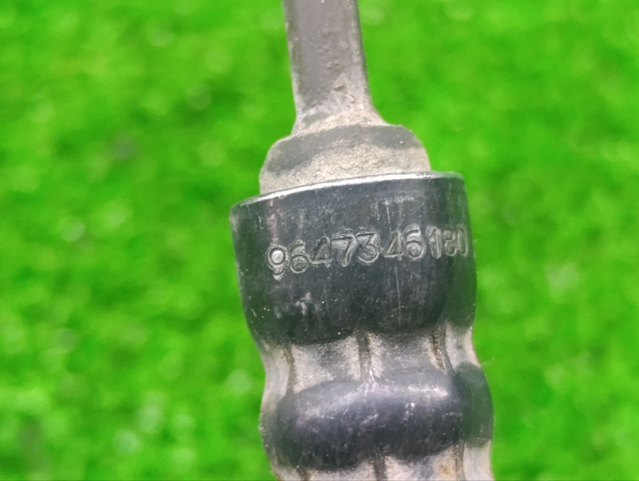 thumb