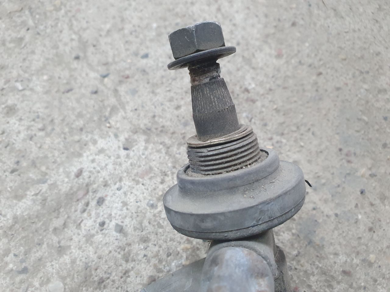 thumb