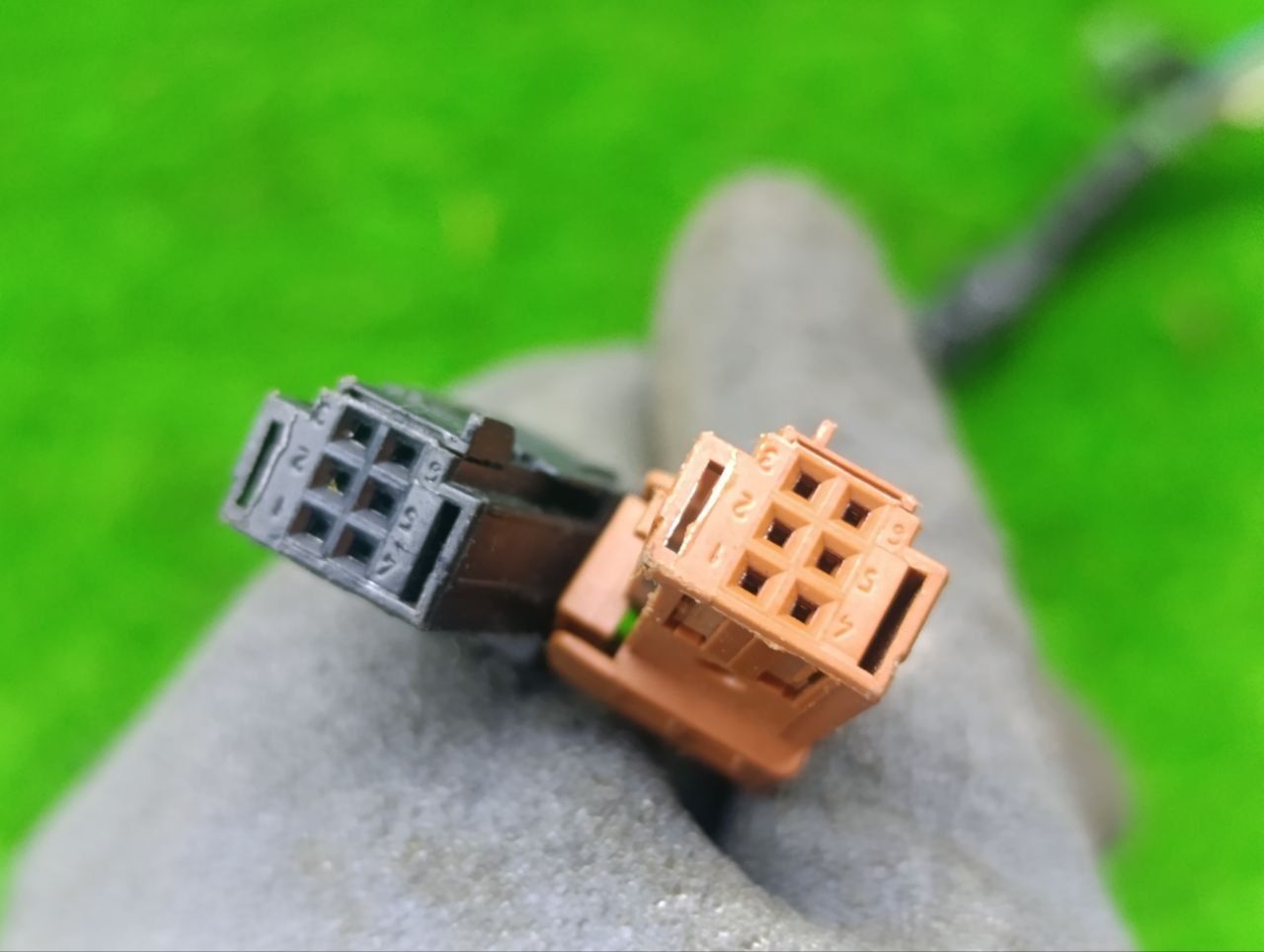 thumb