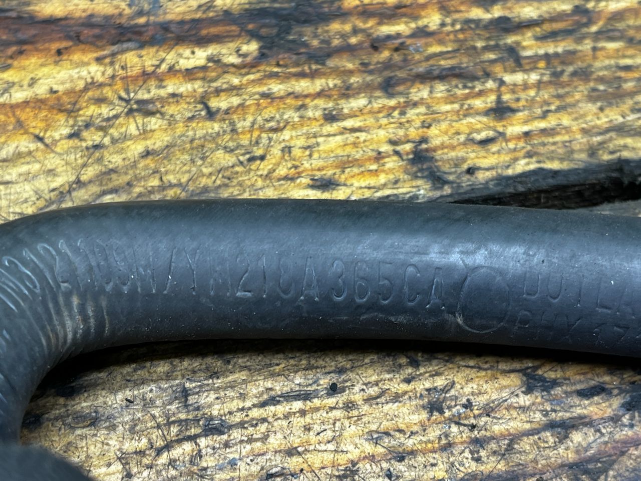 thumb