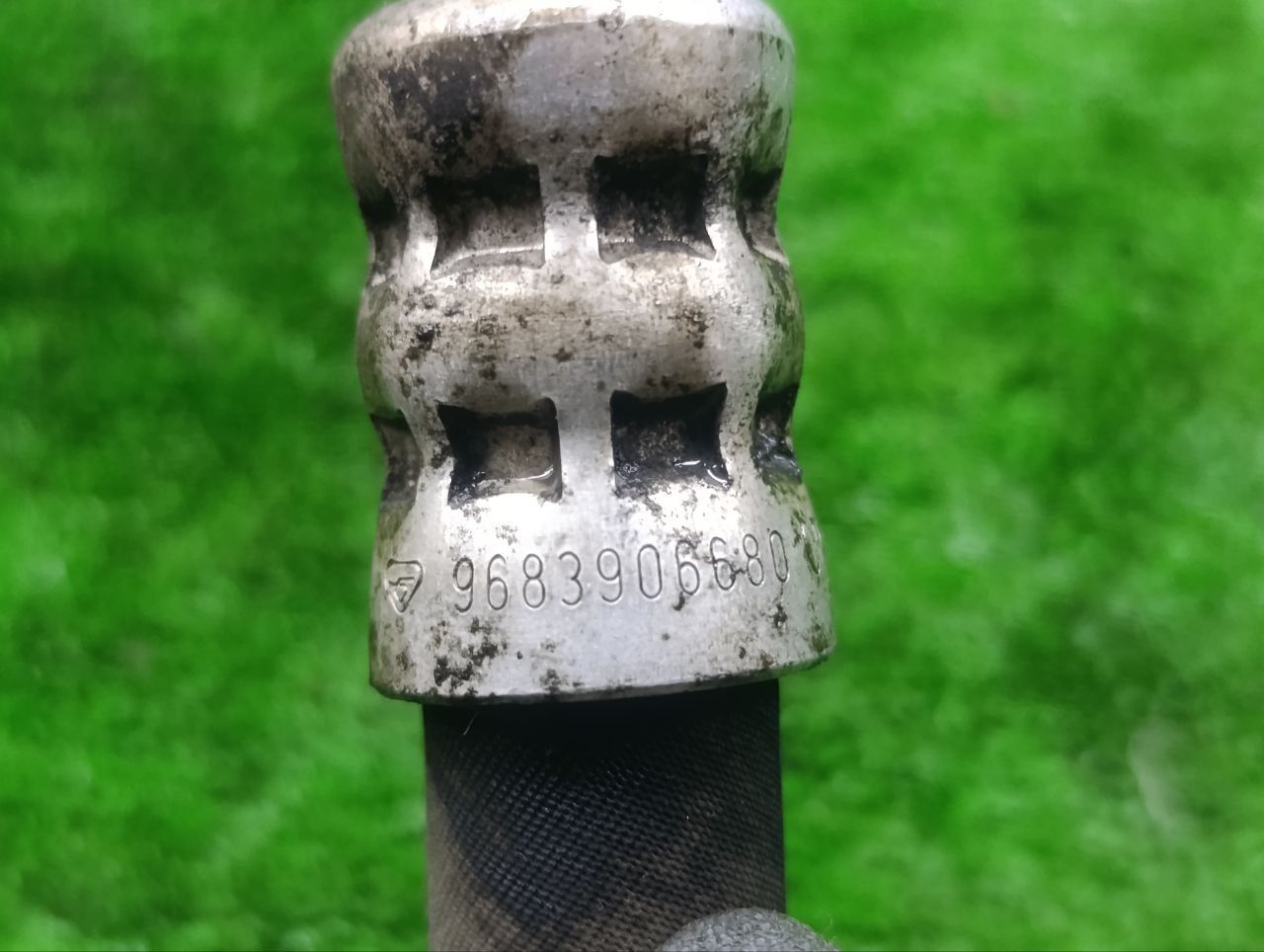thumb