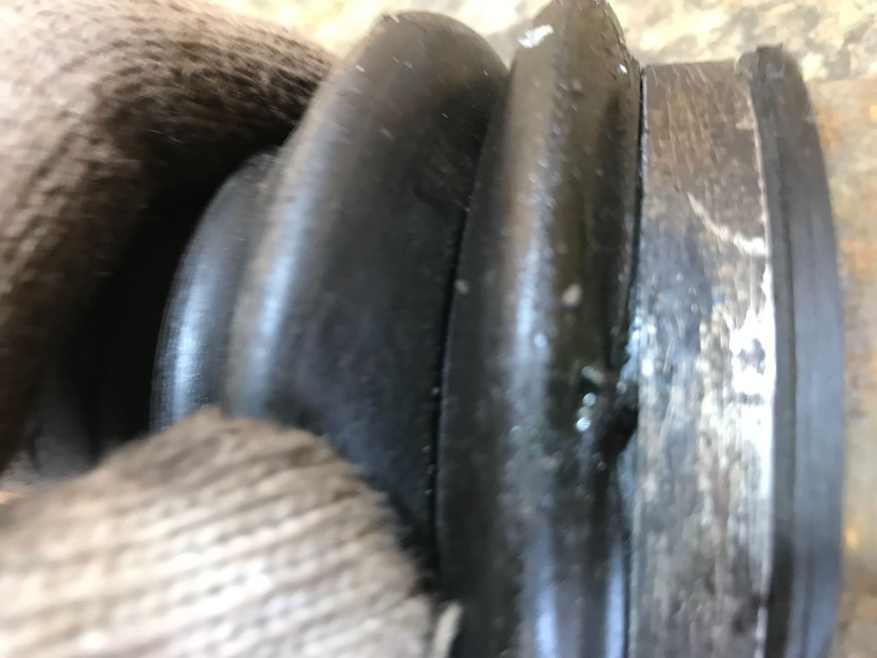 thumb