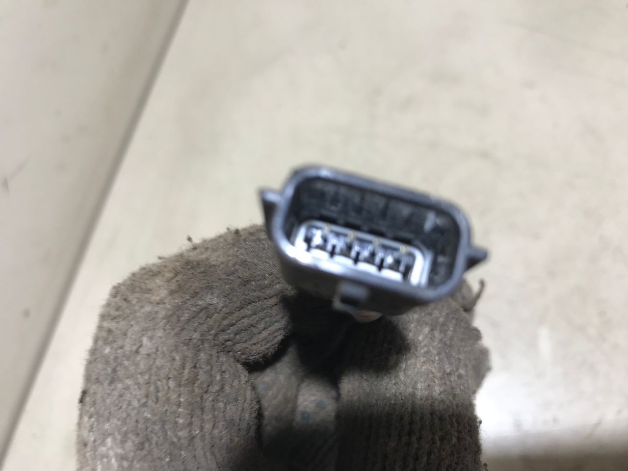 thumb