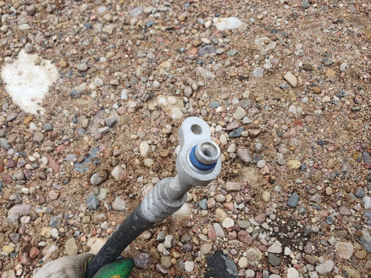 thumb