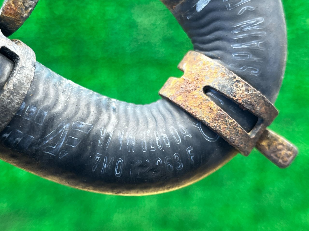 thumb