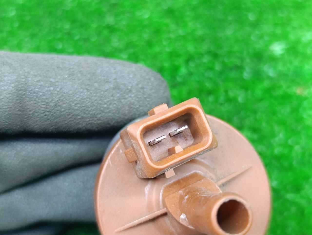 thumb