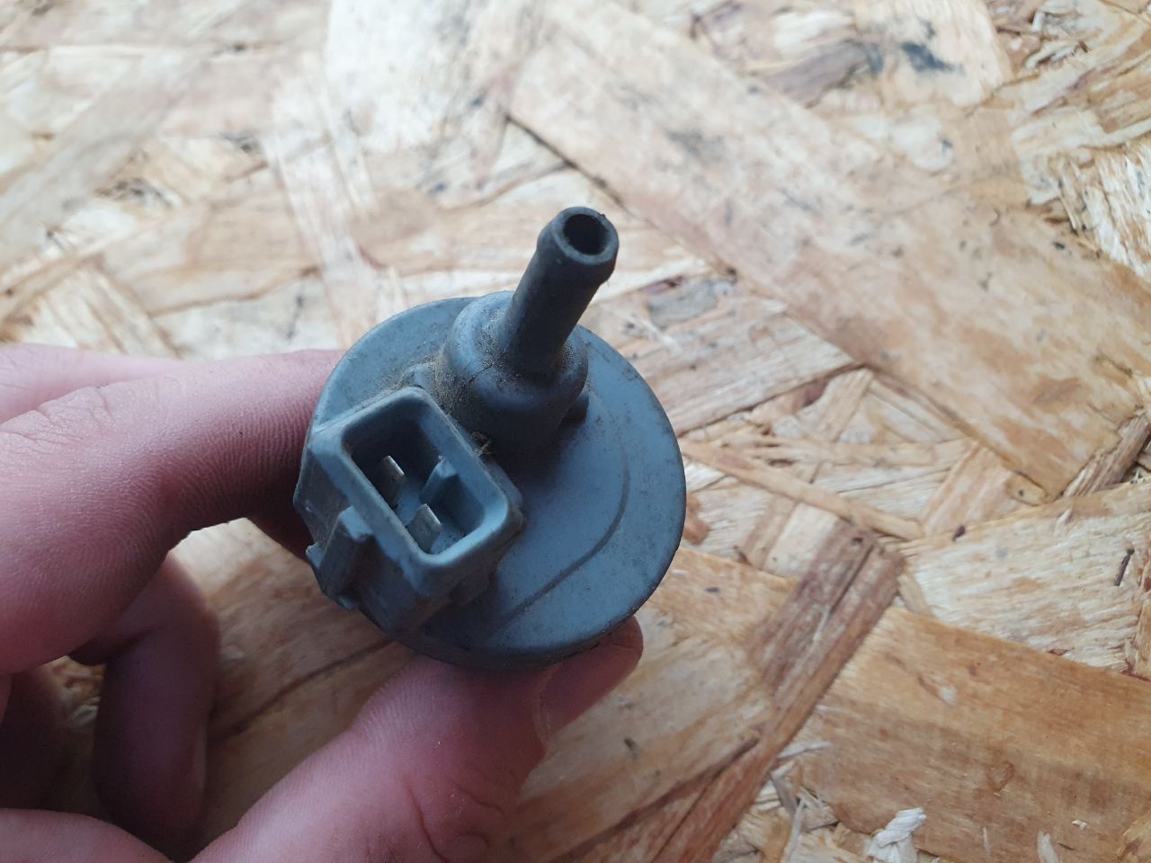 thumb