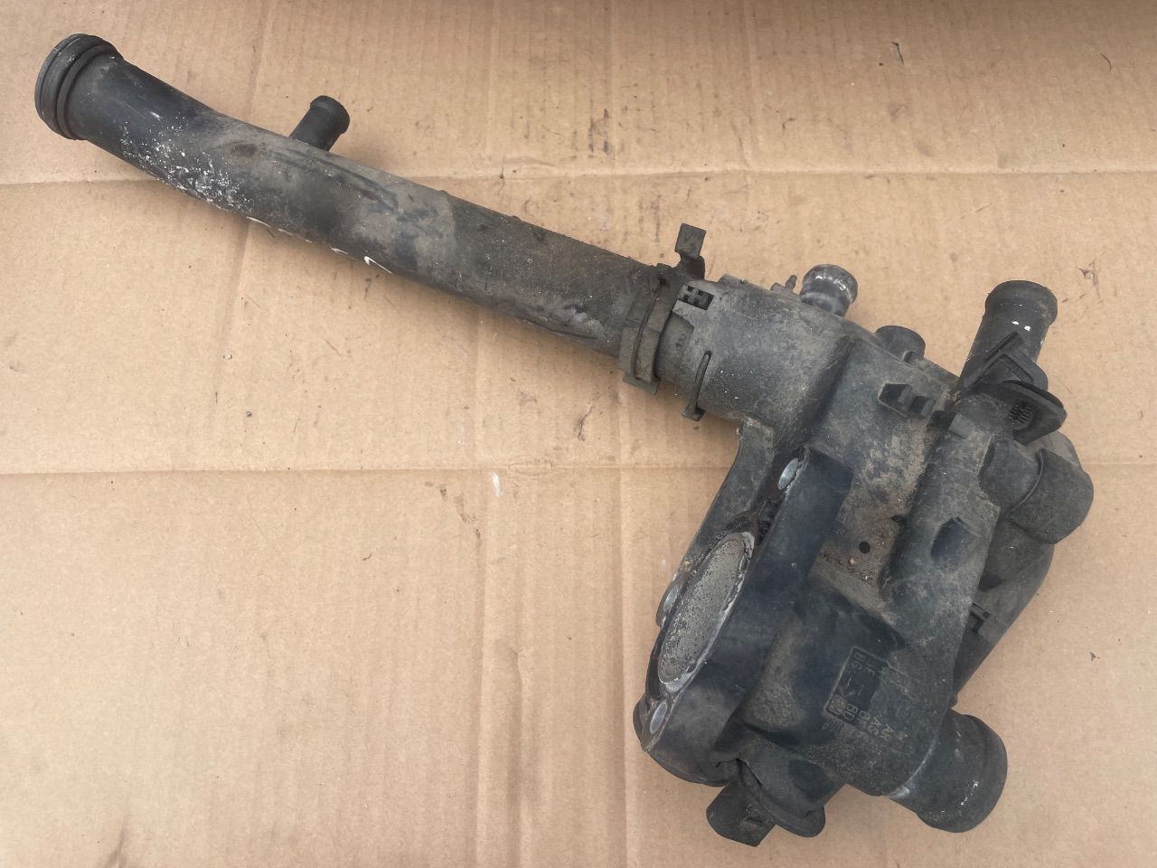thumb