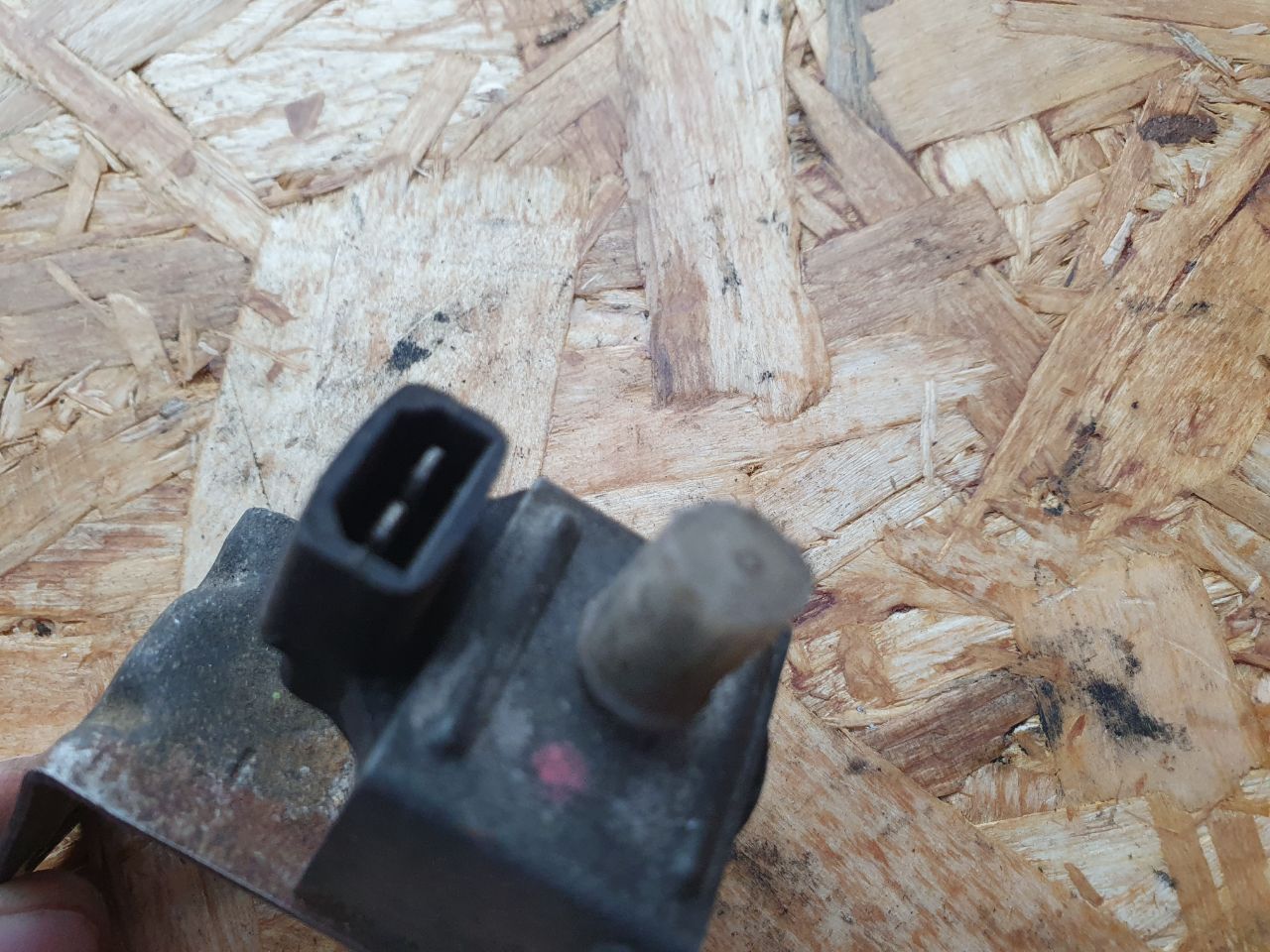 thumb