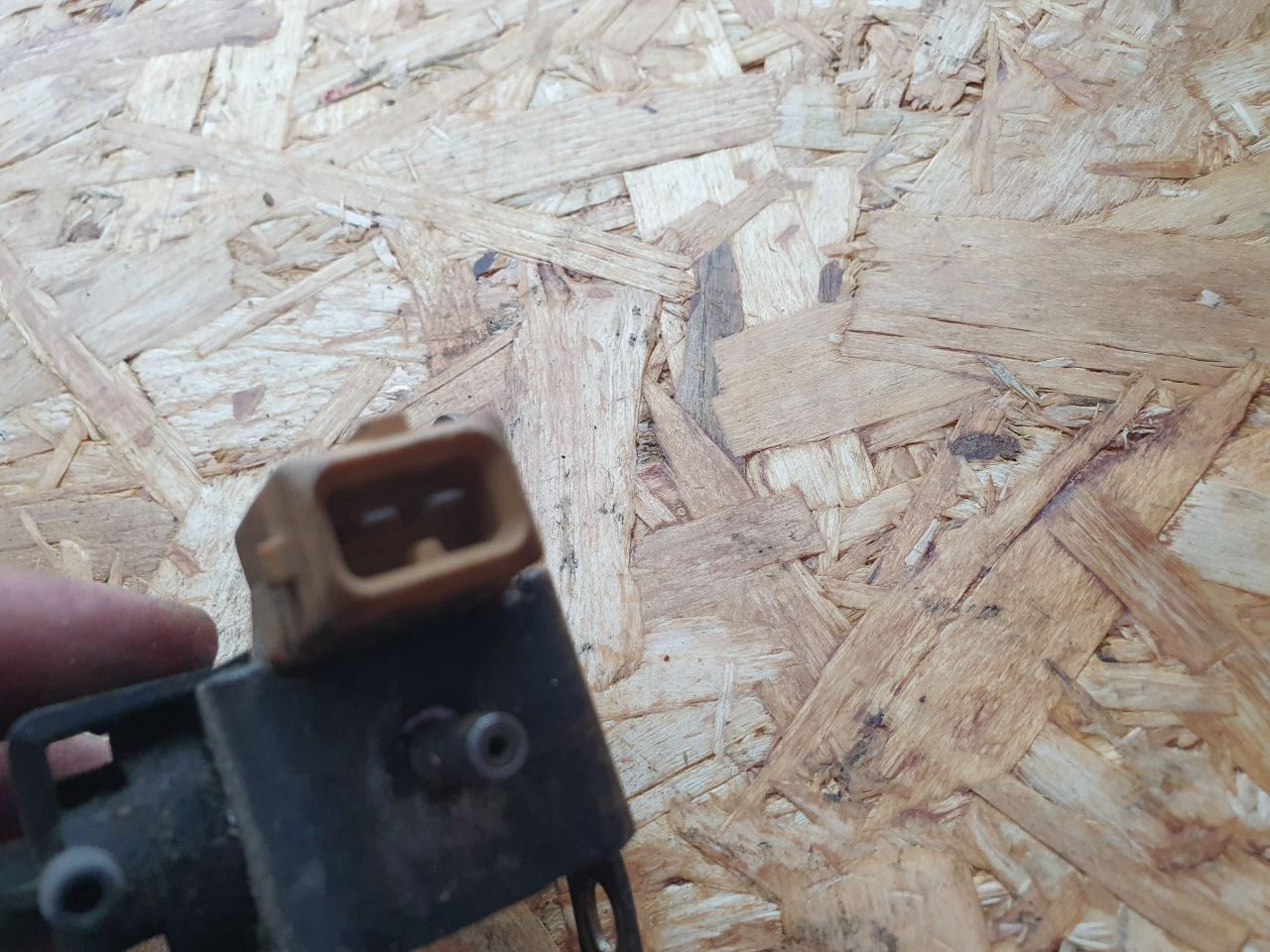 thumb